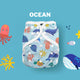 Ocean